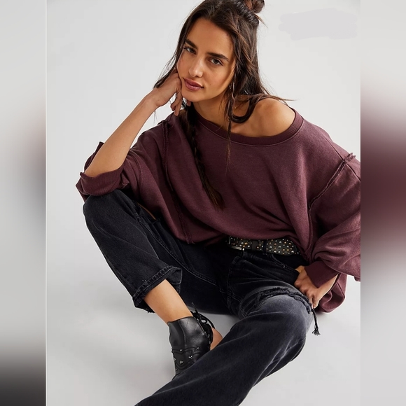 NWT CAMDEN FREE PEOPLE Brandywine OVERSIZED PULLOVER Sweatshirt We the Free - Picture 1 of 12